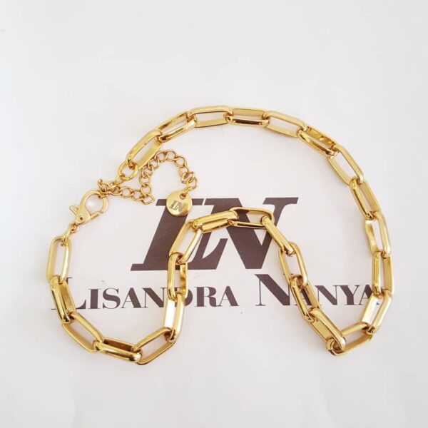 Conjunto 3 Colares Elos Retangulares Pingente Leão Banho Ouro Corrente Aço